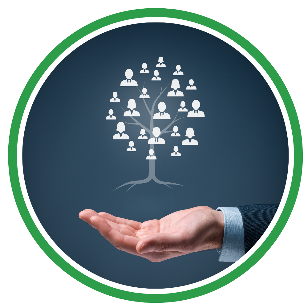 Data Enrichment and Enhancement